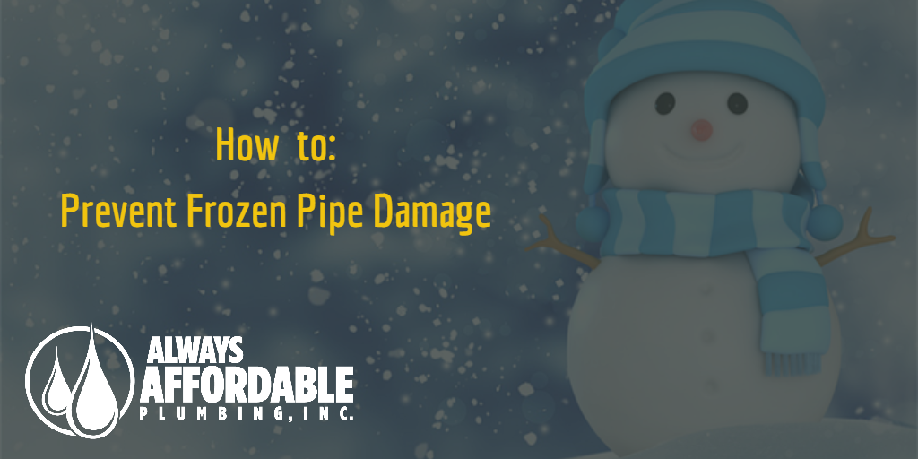 AAP FrozenPipePrevention