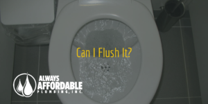 affordable plumbing sacramento-can I flush it-Always Affordable Plumbing