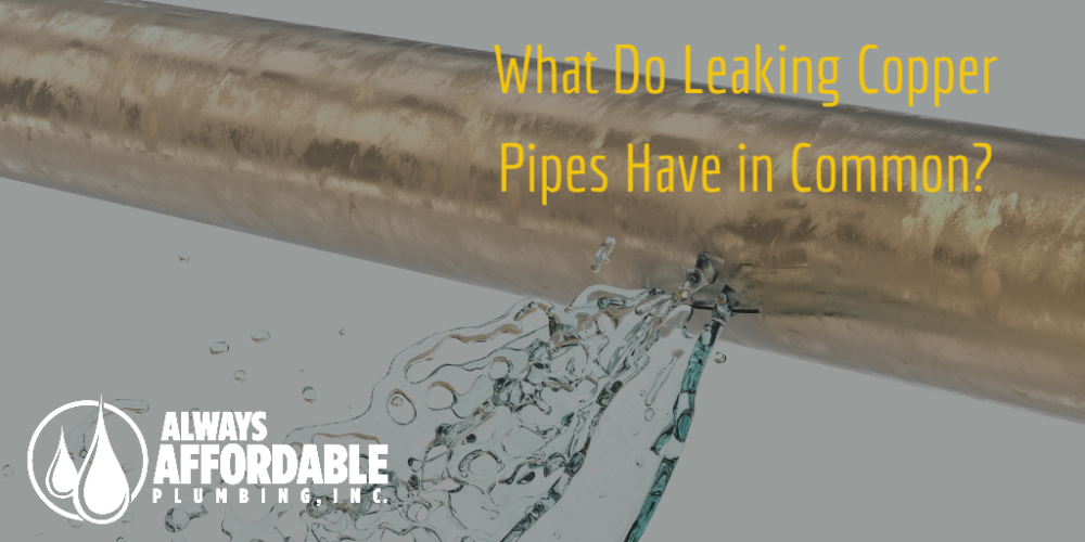 Repiping Copper Pipes 3 Trends in Pinhole Leaks Always Affordable