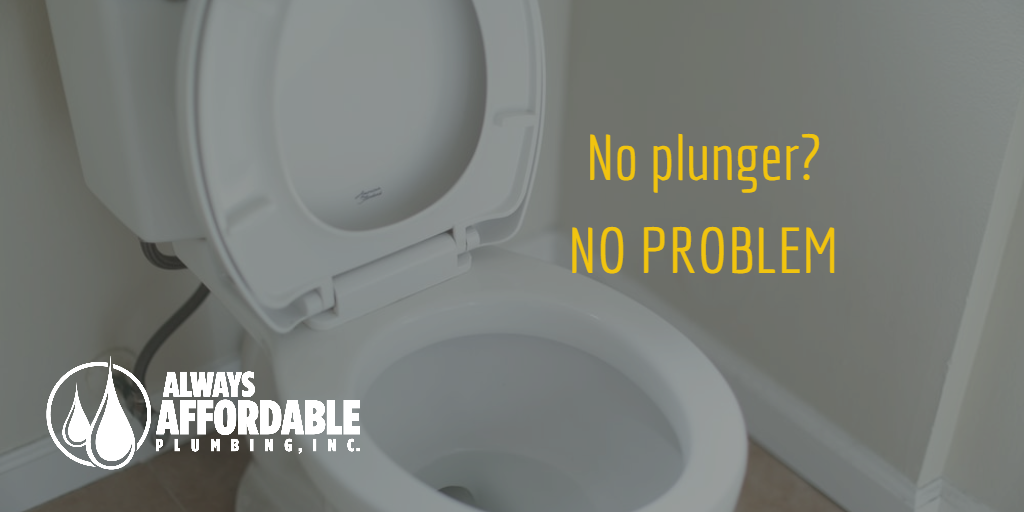 clogged toilet solutions