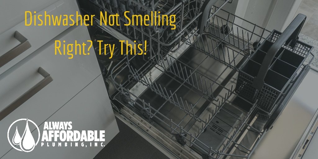 Clean dishwasher filter-best solano plumber tips