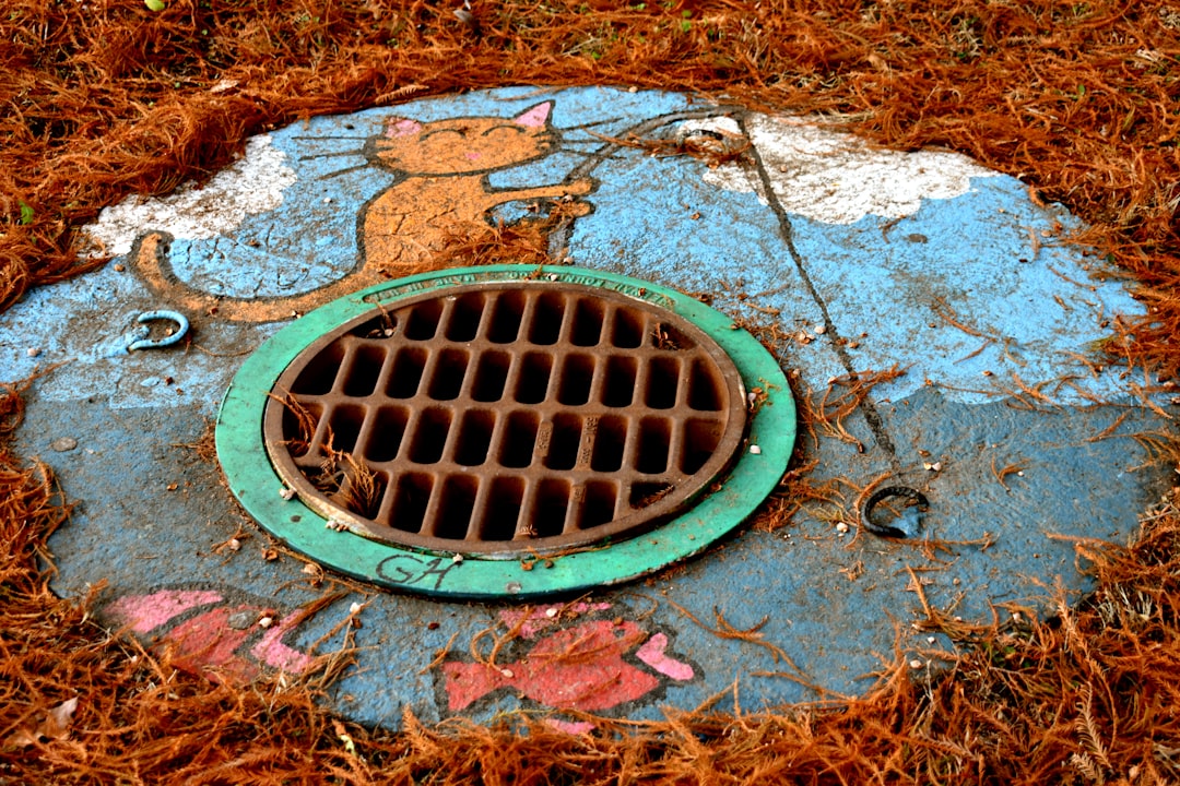 sewer repair Folsom