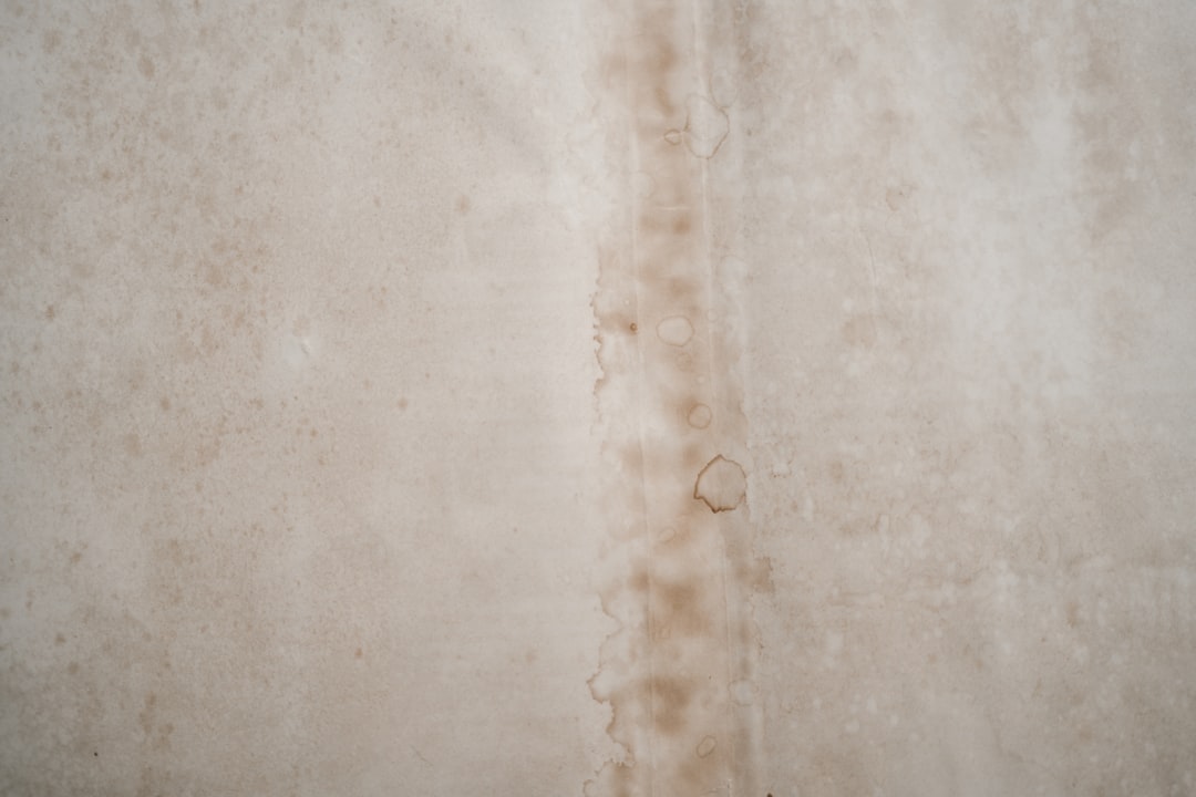 water leak inspection roseville ca